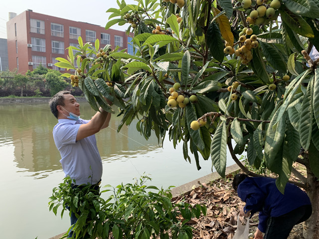 1653379654211919.jpg 1A942894F60F9A62D0332A247C39A668_副本.jpg